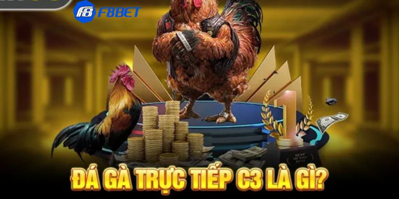 trực tiếp đá gà c3 hôm nay Khám phá về trực tiếp đá gà c3 cung cấp những loại hình gì?