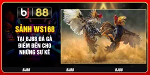 Sảnh Ws168 Tại Bj88 Đá Gà – Điểm Đến Cho Những Sư Kê