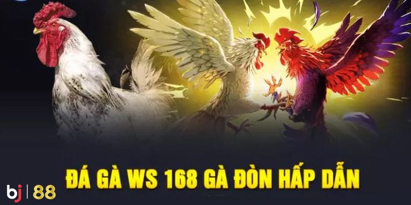 Nhiều hình thức đá gà hấp dẫn
